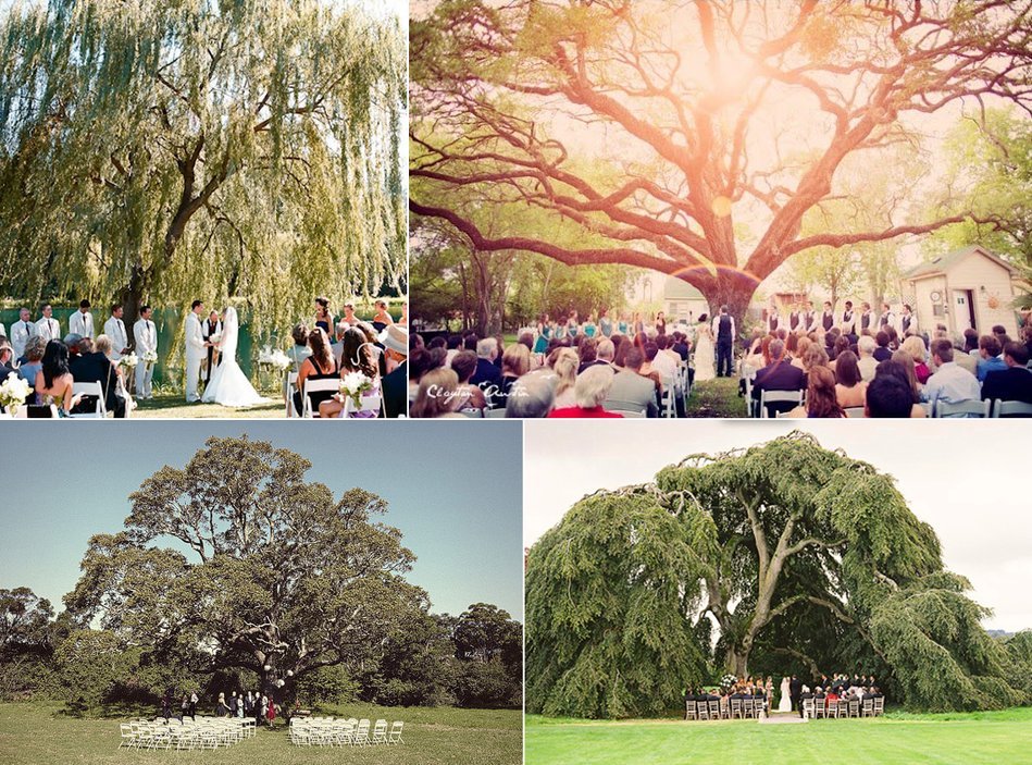 Outdoor Tree Decorations For Weddings