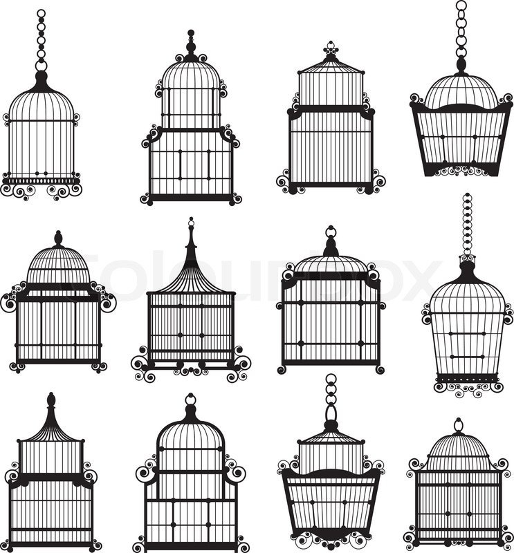 Vintage Bird Cage Drawing   800px Colourbox10470964 1 